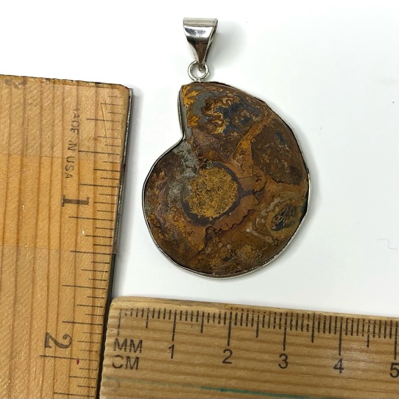 Natural Ammonite Fossil Pendant Charm for Your Own Necklace Choker 1.5" x 1.3" - Picture 3 of 4